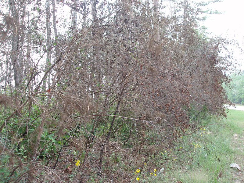 PA040242