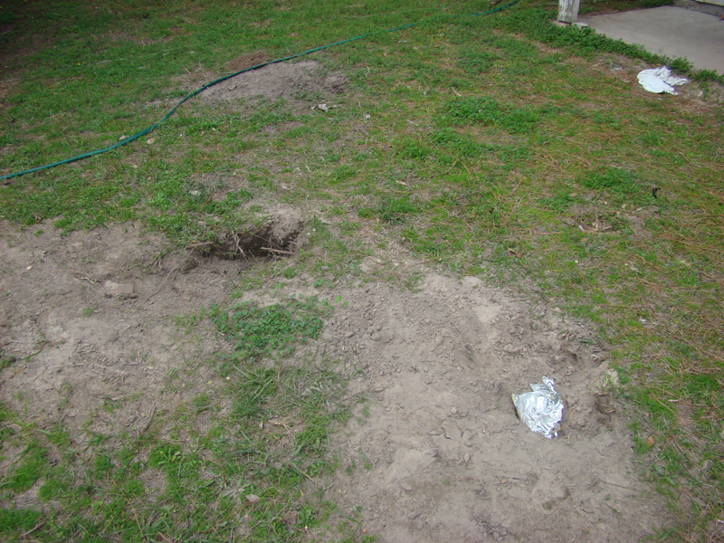 DSC02373