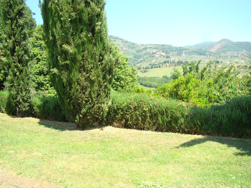 DSC01941