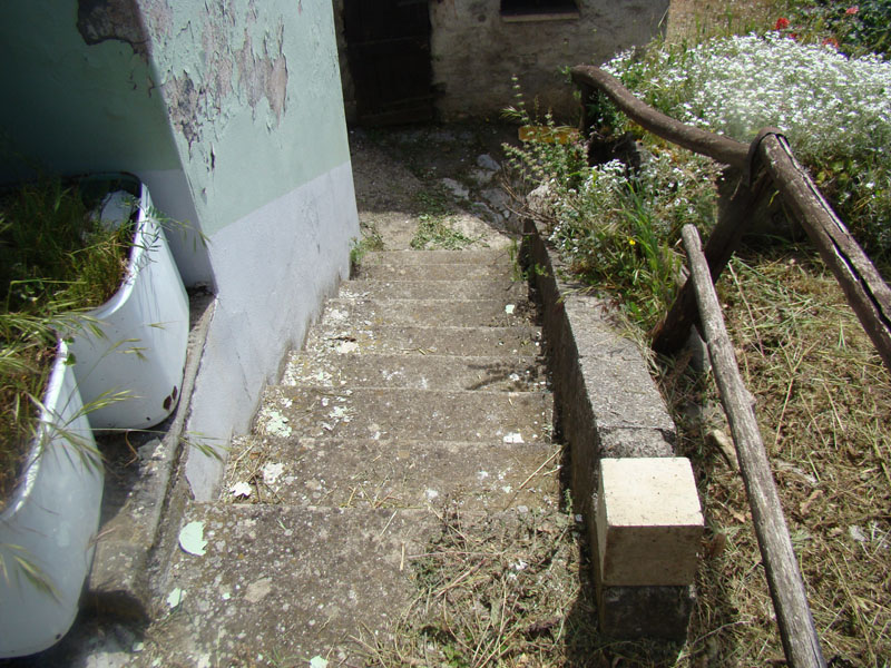 DSC02021