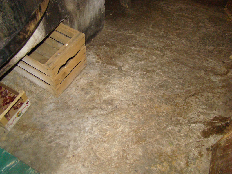 DSC02036