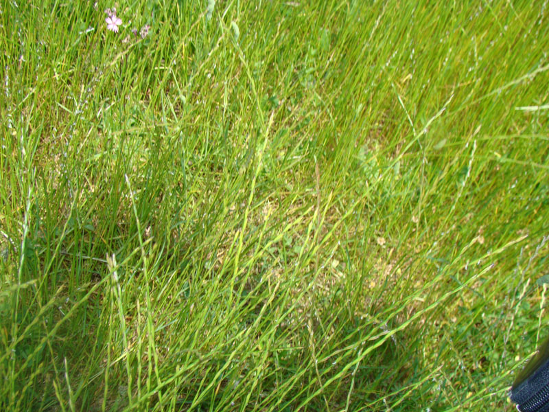 DSC02049