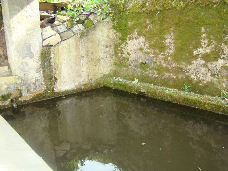 DSC02074