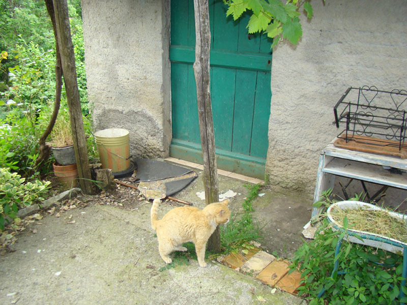 DSC02102