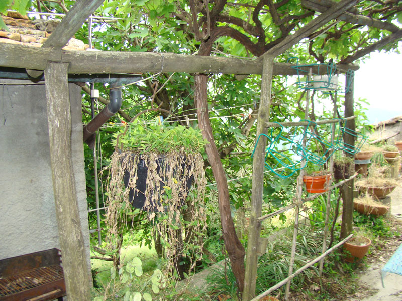 DSC02105