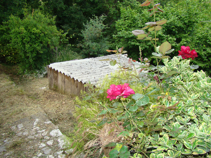 DSC02106
