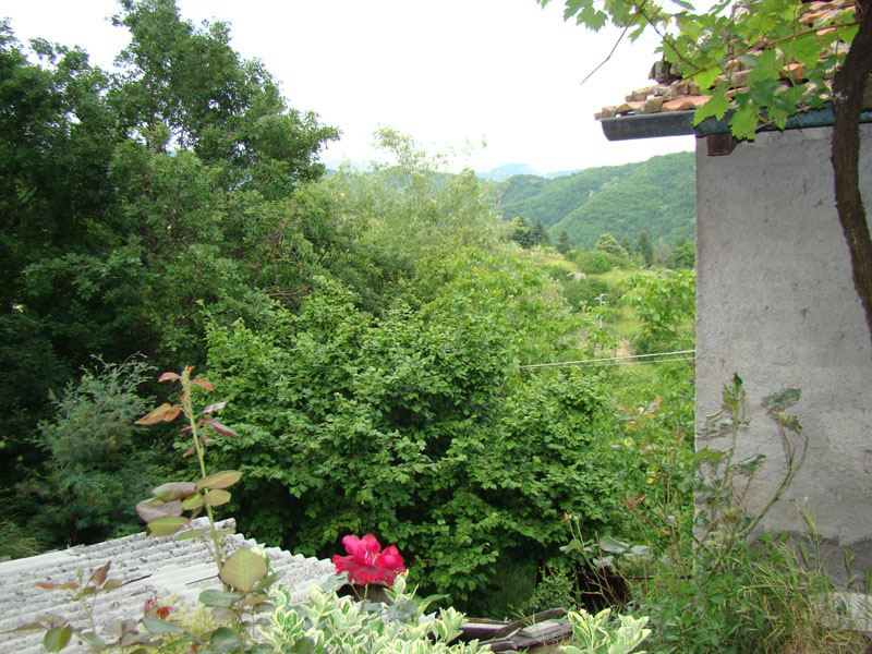 DSC02107