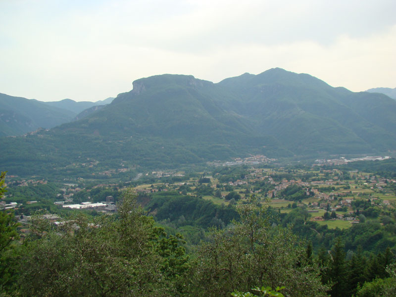 DSC02117