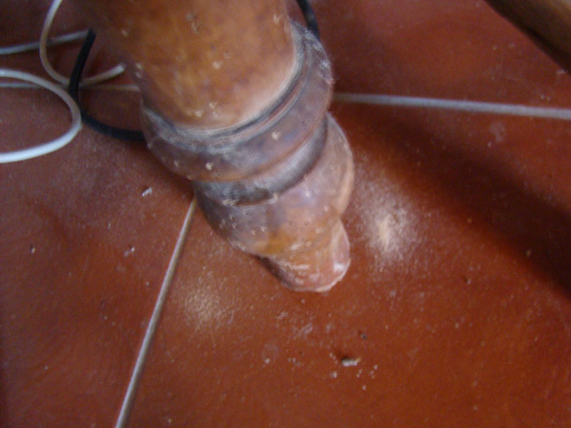 DSC02124