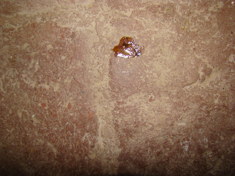 DSC02137