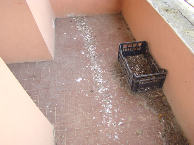 DSC02173