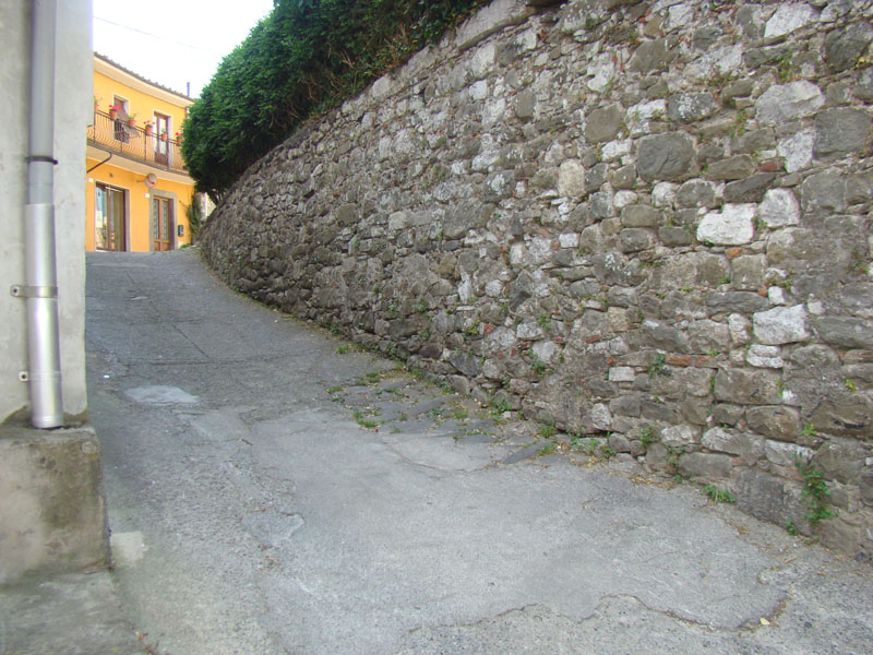 DSC02254