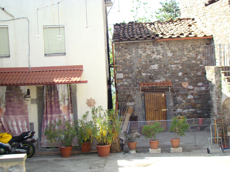 DSC02259