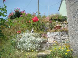 DSC02045