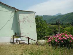 DSC02048