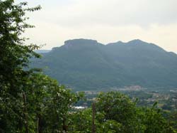 DSC02119