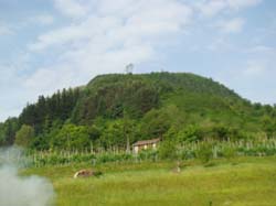 DSC02129
