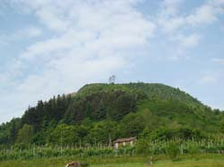 DSC02131