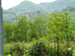DSC02240