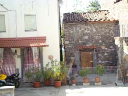 DSC02259