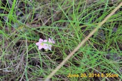IMG_9425
