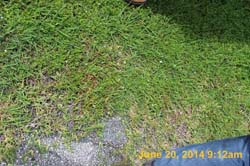 IMG_9466