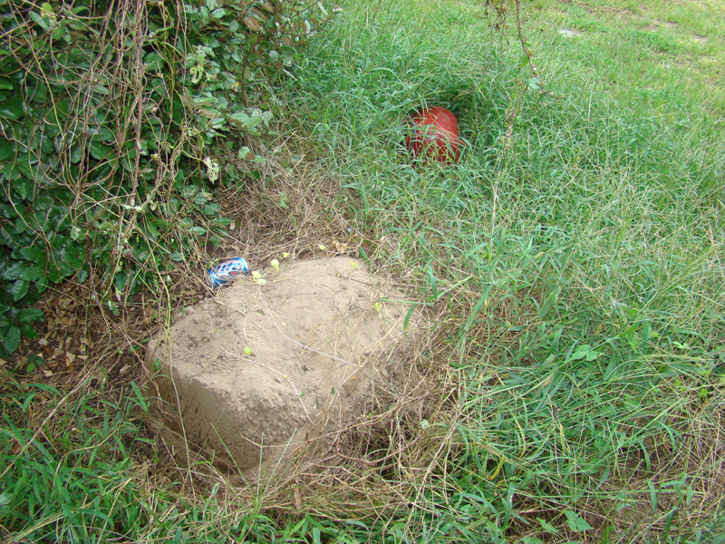DSC01107