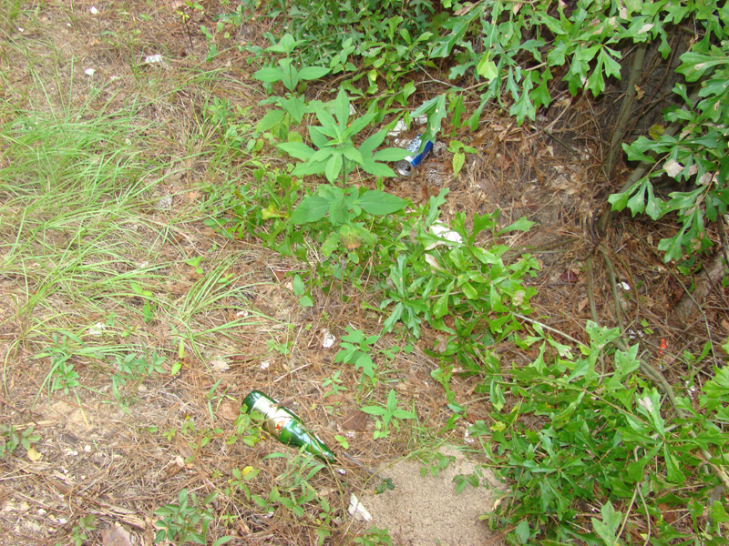 DSC01118