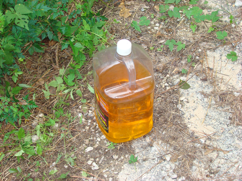DSC01121