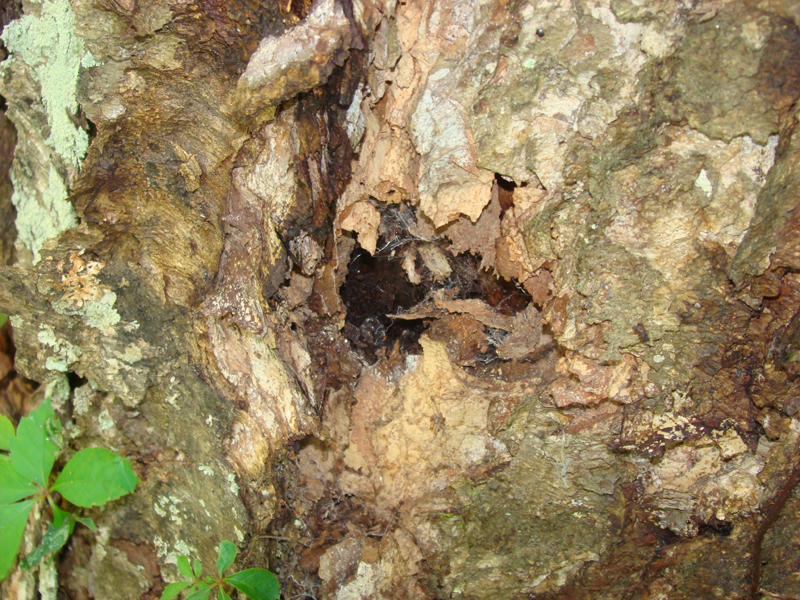 DSC01159