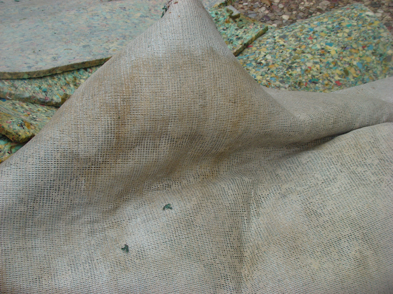 DSC01195