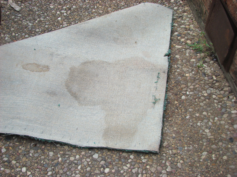 DSC01197
