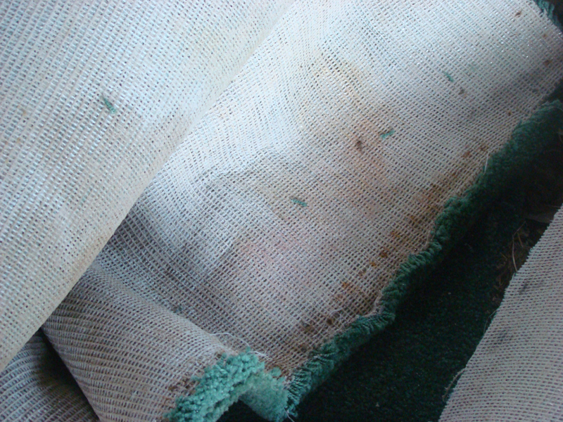DSC01213