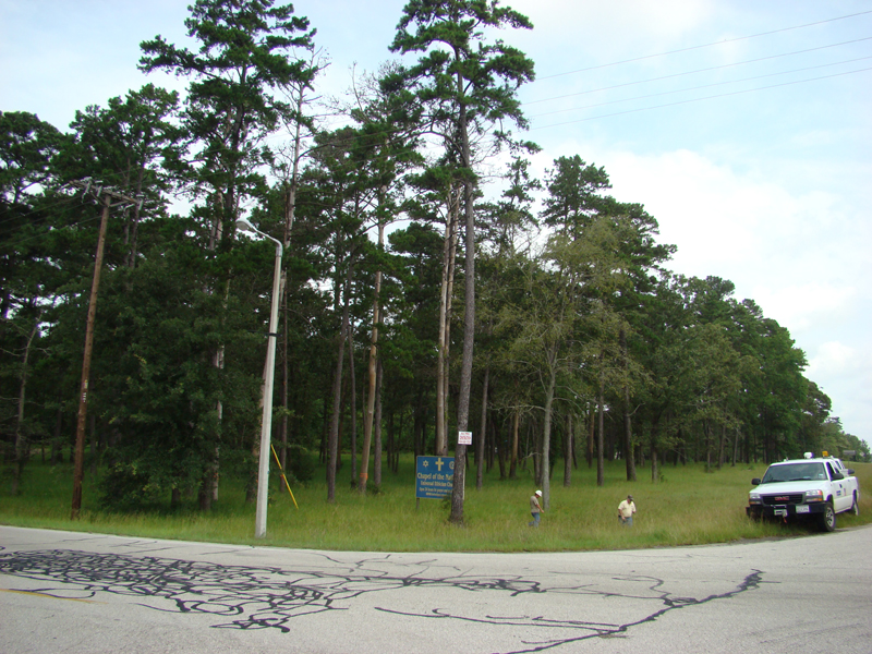 DSC00056