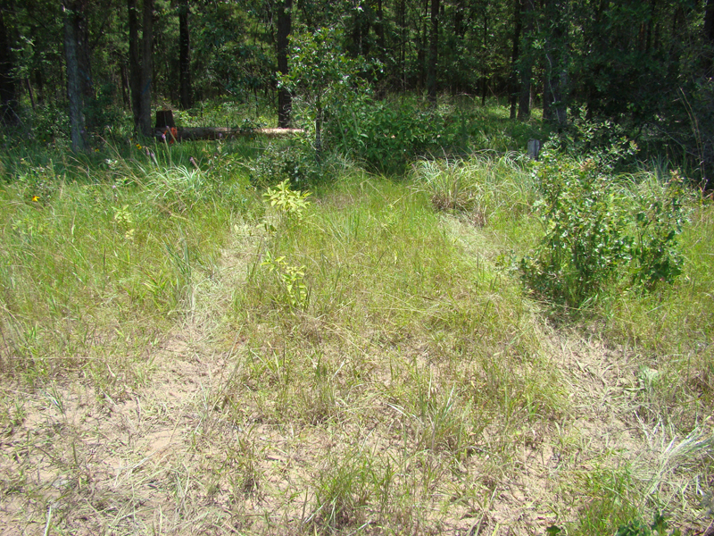 DSC00080