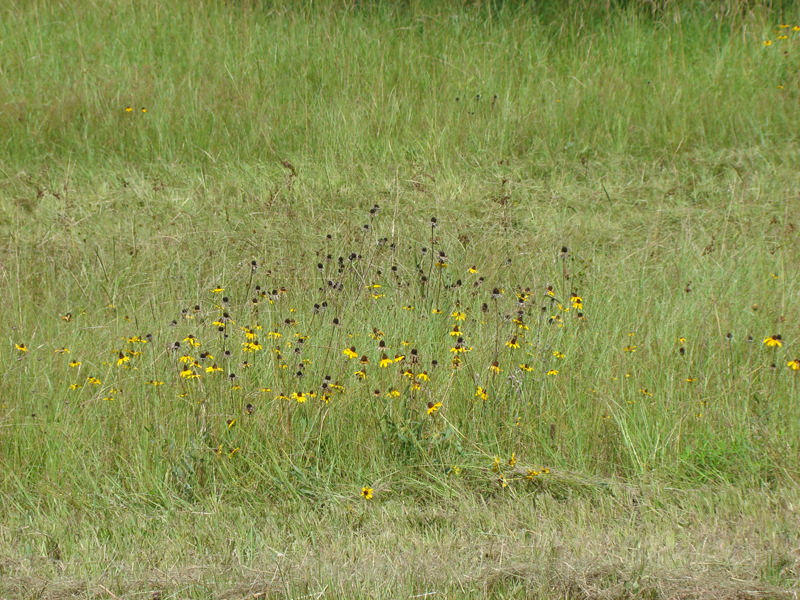 DSC00091