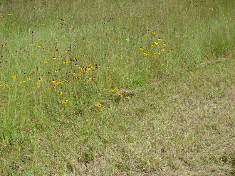 DSC00094