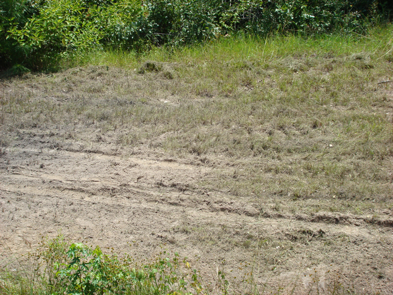 DSC00155