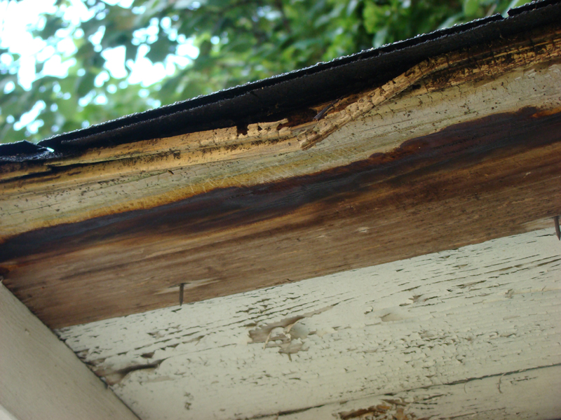 DSC00297