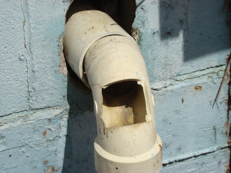 DSC00300