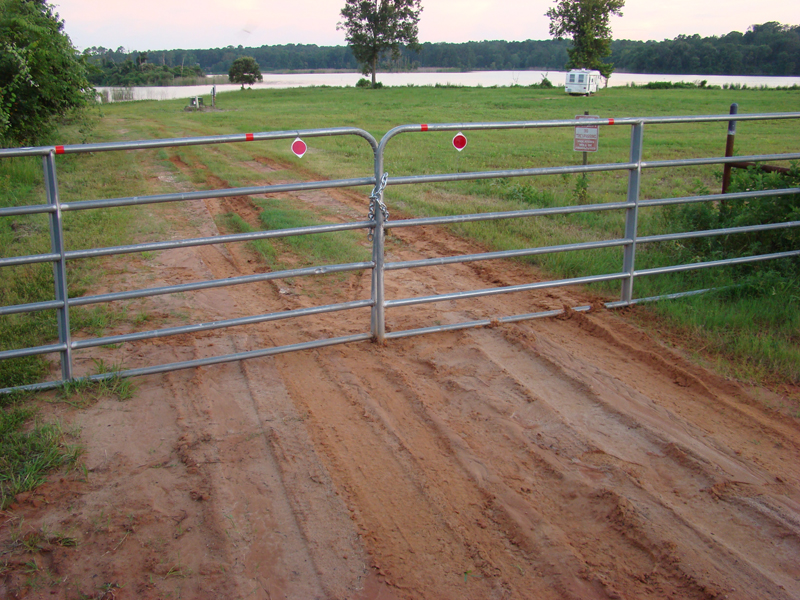 DSC00350