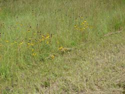 DSC00094