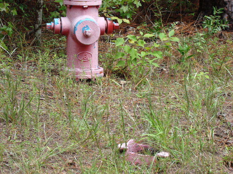 DSC05255