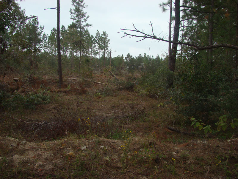 DSC06655