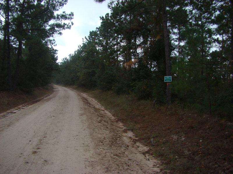 DSC06659