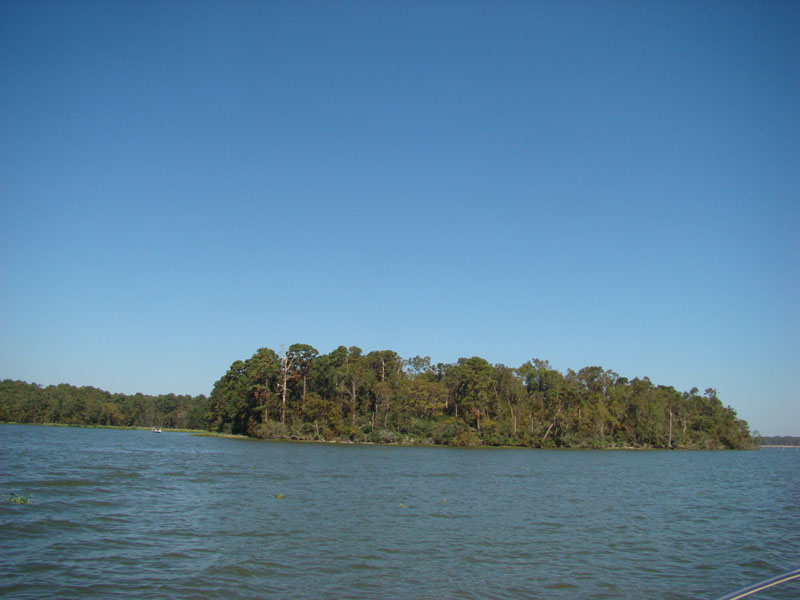 DSC06721