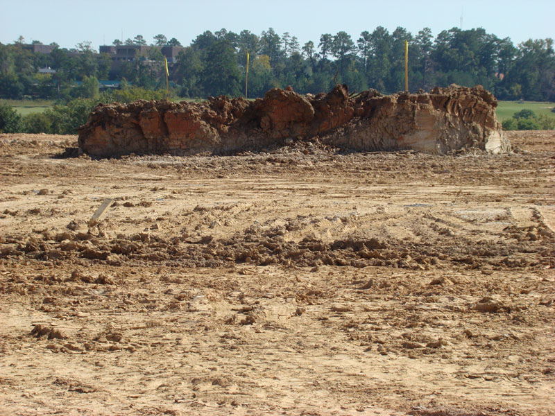 DSC06762