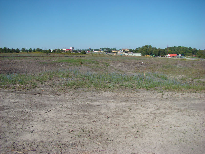 DSC06772