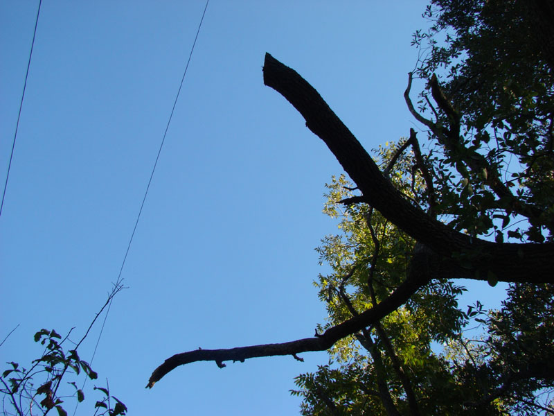 DSC06850
