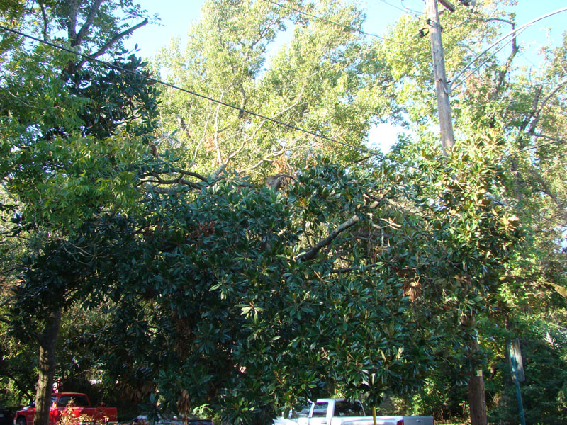DSC06852